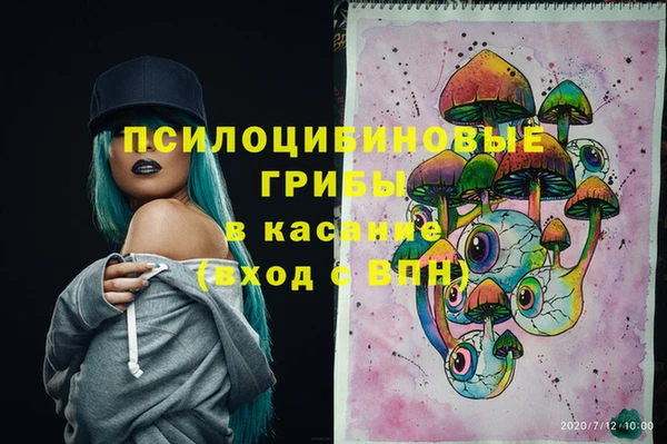 apvp Горно-Алтайск