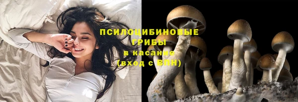 синтетический гашиш Горнозаводск