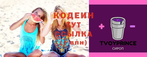 apvp Горно-Алтайск