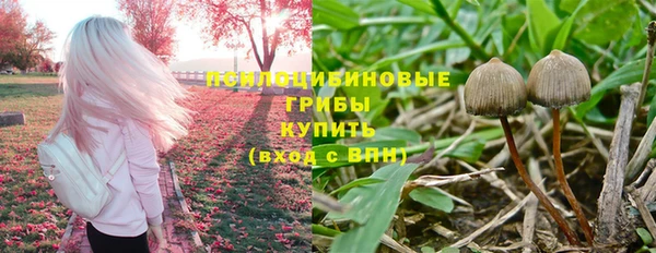 синтетический гашиш Горнозаводск