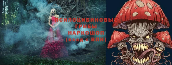 молекула духа Горняк