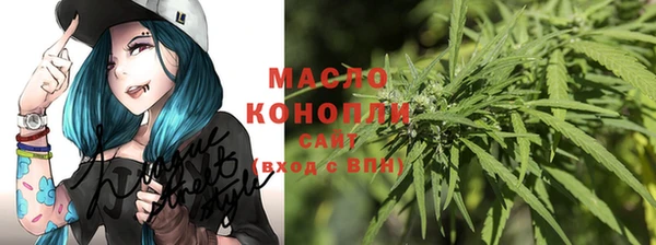 молекула духа Горняк