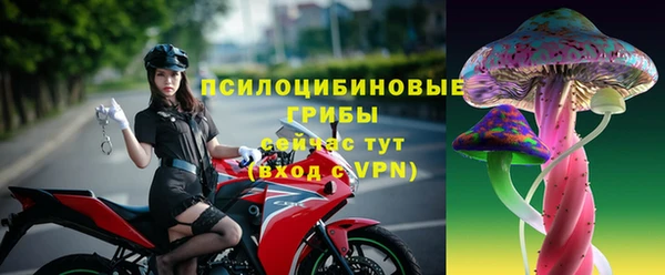 синтетический гашиш Горнозаводск