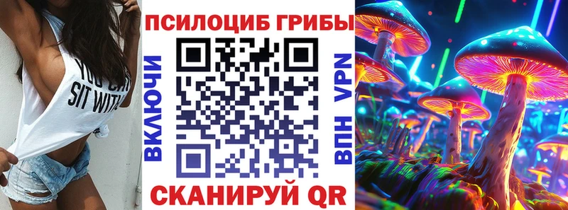 Купить  Лобня  Галлюциногенные грибы Cubensis 
